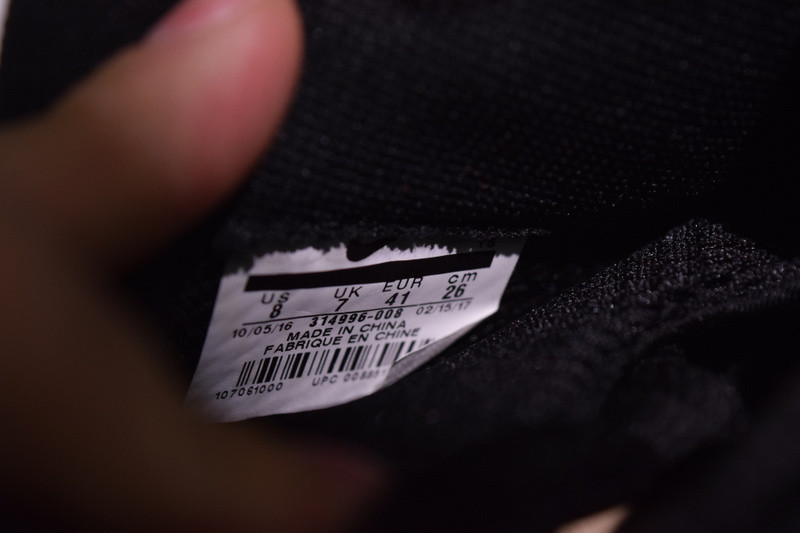 nike air foamposite one "eggplant" 314996-008