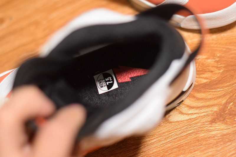 air jordan 6 retro "gatorade" 384664-145